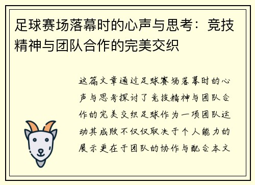 足球赛场落幕时的心声与思考：竞技精神与团队合作的完美交织