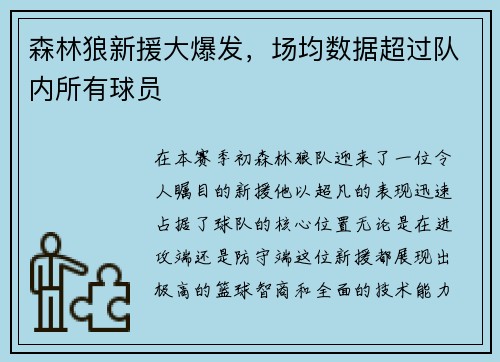 森林狼新援大爆发，场均数据超过队内所有球员