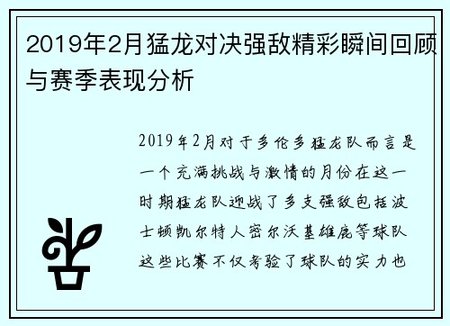 2019年2月猛龙对决强敌精彩瞬间回顾与赛季表现分析