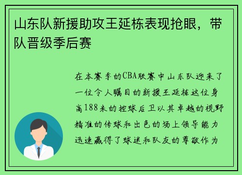 山东队新援助攻王延栋表现抢眼，带队晋级季后赛