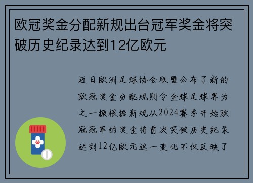 欧冠奖金分配新规出台冠军奖金将突破历史纪录达到12亿欧元