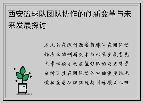 西安篮球队团队协作的创新变革与未来发展探讨
